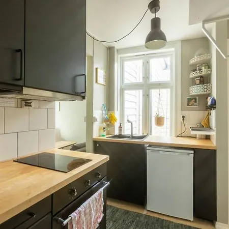 Dinbnb I Historical Cobblestone Street Bergen