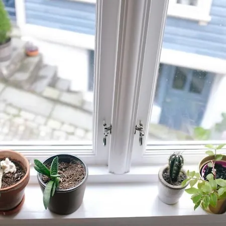Dinbnb I Historical Cobblestone Street